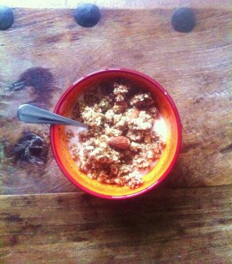 Home Made Granola with Soy Yogurt (and forgotten raisins!)