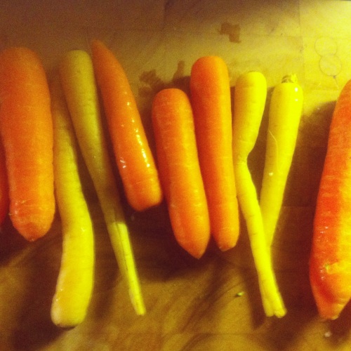 Pretty orange and yellow British organic carrots